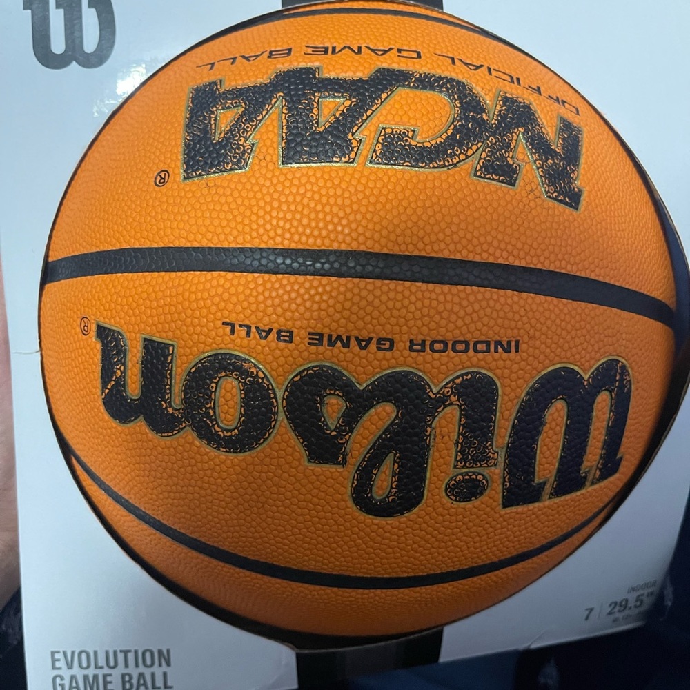 Wilson Evolution Indoor Game Ball - Orange